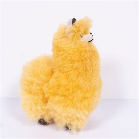 yellow alpaca brands